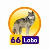 Lobo