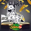 Cebra